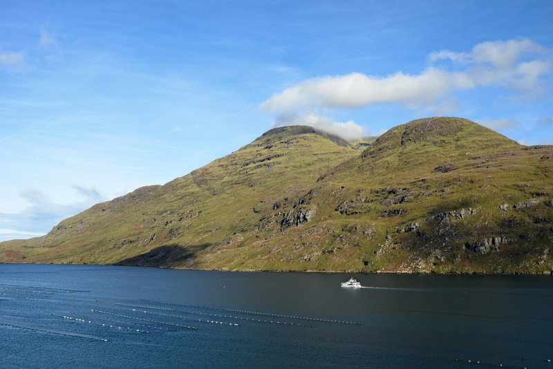 Eine Bootstour gäbe es auch